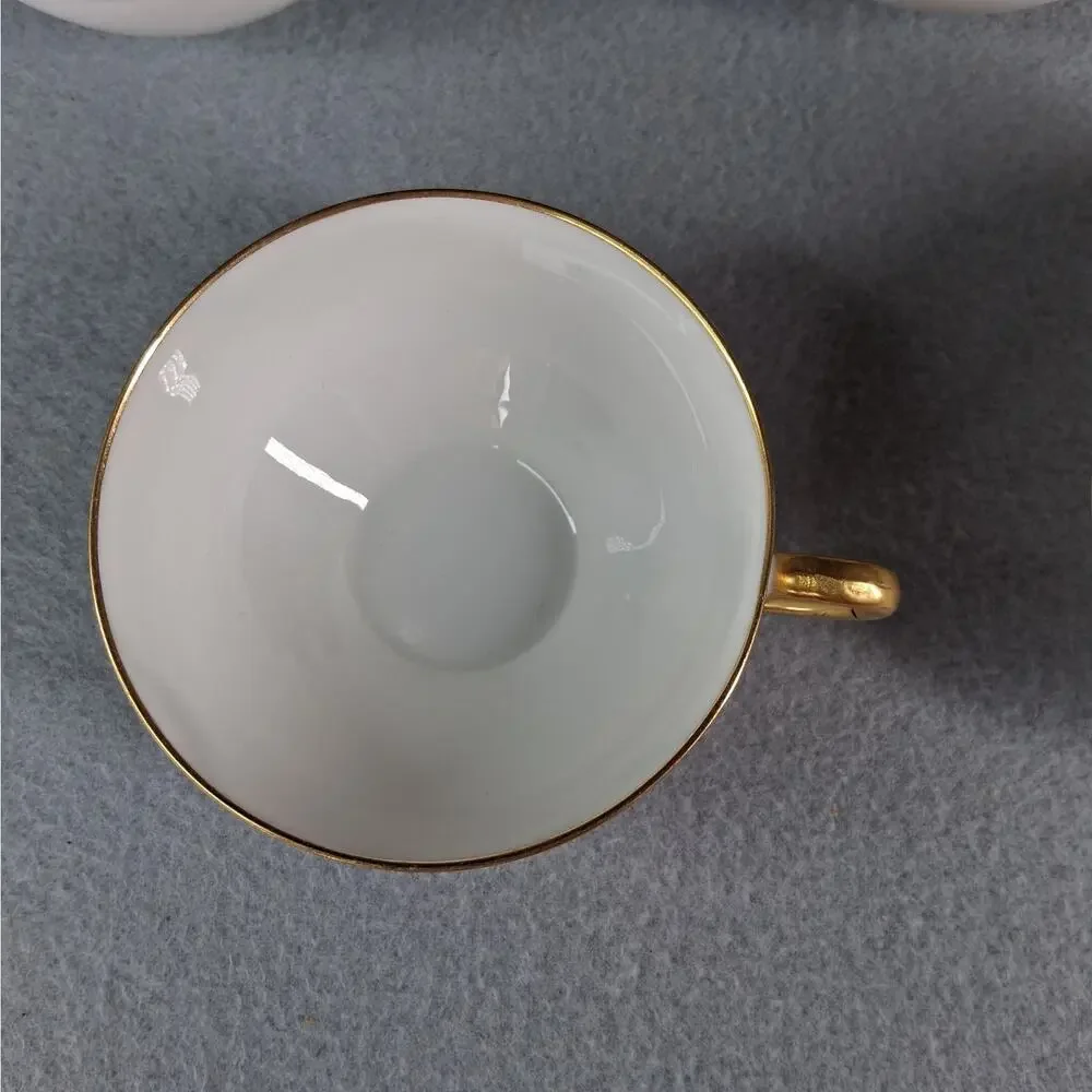Haviland France Limoges set vintage